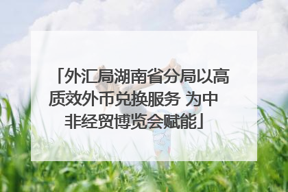 外汇局湖南省分局以高质效外币兑换服务 为中非经贸博览会赋能