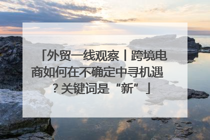 外贸一线观察丨跨境电商如何在不确定中寻机遇？关键词是“新”