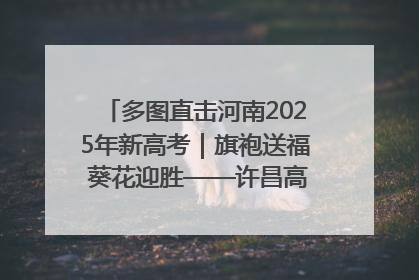 多图直击河南2025年新高考｜旗袍送福 葵花迎胜——许昌高考首日拉开帷幕