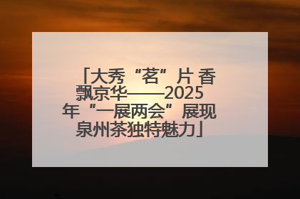 大秀“茗”片 香飘京华——2025年“一展两会”展现泉州茶独特魅力