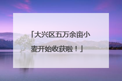 大兴区五万余亩小麦开始收获啦！