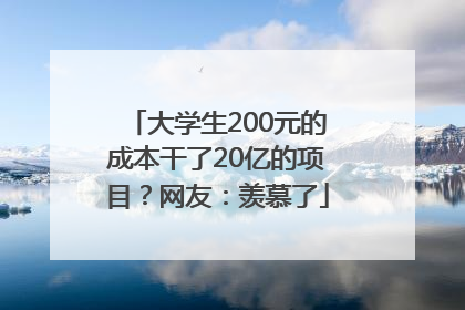 大学生200元的成本干了20亿的项目？网友：羡慕了
