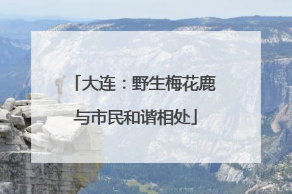 大连：野生梅花鹿与市民和谐相处