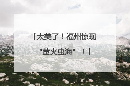 太美了！福州惊现“萤火虫海”！