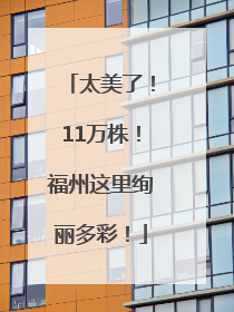 太美了！11万株！福州这里绚丽多彩！