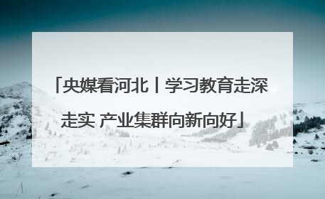 央媒看河北丨学习教育走深走实 产业集群向新向好