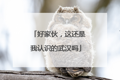 好家伙，这还是我认识的武汉吗