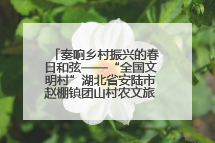 奏响乡村振兴的春日和弦——“全国文明村”湖北省安陆市赵棚镇团山村农文旅融合发展见闻