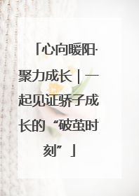 心向暖阳·聚力成长｜一起见证骄子成长的“破茧时刻”