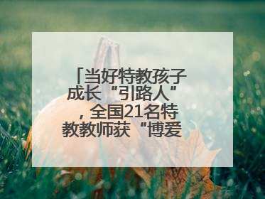 当好特教孩子成长“引路人”，全国21名特教教师获“博爱塑魂奖”表彰
