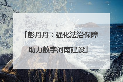 彭丹丹：强化法治保障 助力数字河南建设