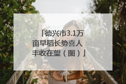 德兴市3.1万亩早稻长势喜人 丰收在望（图）
