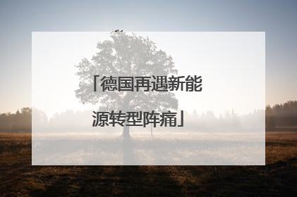 德国再遇新能源转型阵痛