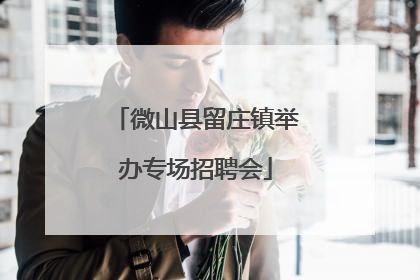 微山县留庄镇举办专场招聘会