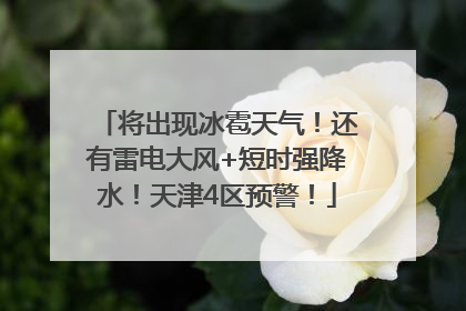 将出现冰雹天气！还有雷电大风+短时强降水！天津4区预警！
