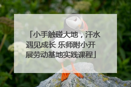 小手触碰大地，汗水遇见成长 乐师附小开展劳动基地实践课程