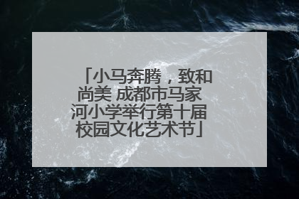 小马奔腾，致和尚美 成都市马家河小学举行第十届校园文化艺术节