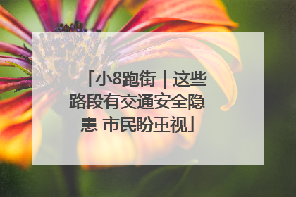 小8跑街｜这些路段有交通安全隐患 市民盼重视