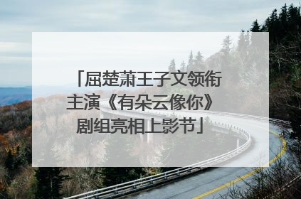 屈楚萧王子文领衔主演《有朵云像你》剧组亮相上影节