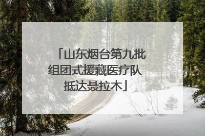 山东烟台第九批组团式援藏医疗队抵达聂拉木