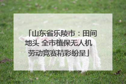 山东省乐陵市：田间地头 全市植保无人机劳动竞赛精彩纷呈