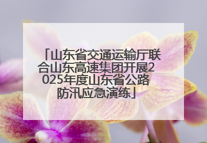 山东省交通运输厅联合山东高速集团开展2025年度山东省公路防汛应急演练