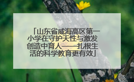 山东省威海高区第一小学在守护天性与激发创造中育人——扎根生活的科学教育更有效