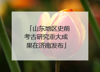 山东地区史前考古研究重大成果在济南发布