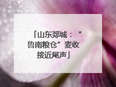 山东郯城：“鲁南粮仓”麦收接近尾声