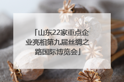 山东22家重点企业亮相第九届丝绸之路国际博览会