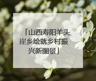 山西寿阳羊头崖乡绘就乡村振兴新图景