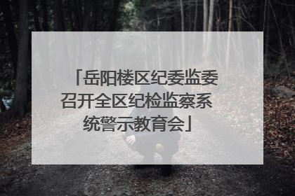 岳阳楼区纪委监委召开全区纪检监察系统警示教育会