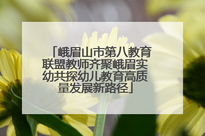 峨眉山市第八教育联盟教师齐聚峨眉实幼共探幼儿教育高质量发展新路径