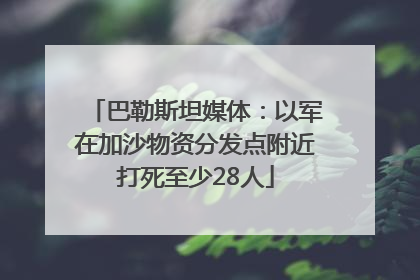 巴勒斯坦媒体：以军在加沙物资分发点附近打死至少28人