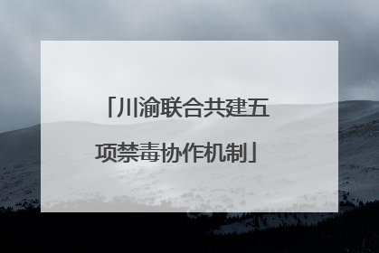 川渝联合共建五项禁毒协作机制