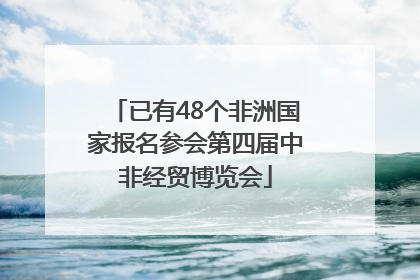 已有48个非洲国家报名参会第四届中非经贸博览会