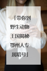 带你到野生动物王国揭秘鄂州人专属暗号
