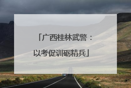 广西桂林武警：以考促训砺精兵