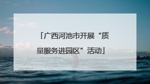 广西河池市开展“质量服务进园区”活动