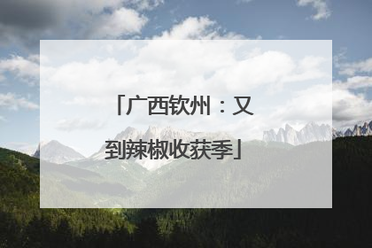广西钦州：又到辣椒收获季