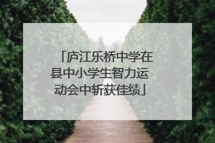 庐江乐桥中学在县中小学生智力运动会中斩获佳绩