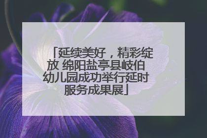 延续美好，精彩绽放 绵阳盐亭县岐伯幼儿园成功举行延时服务成果展