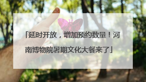 延时开放，增加预约数量！河南博物院暑期文化大餐来了