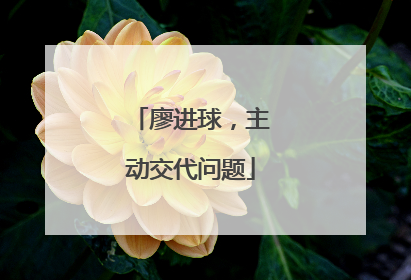 廖进球，主动交代问题