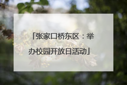 张家口桥东区：举办校园开放日活动
