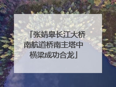 张靖皋长江大桥南航道桥南主塔中横梁成功合龙