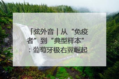 弦外音｜从“免疫者”到“典型样本”：葡萄牙极右翼崛起背后的欧洲困局