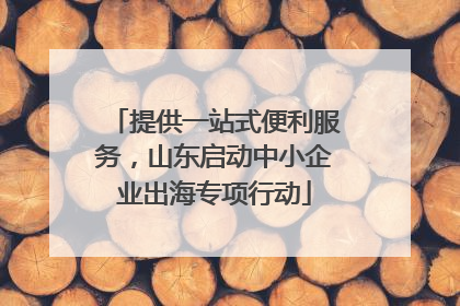 提供一站式便利服务，山东启动中小企业出海专项行动
