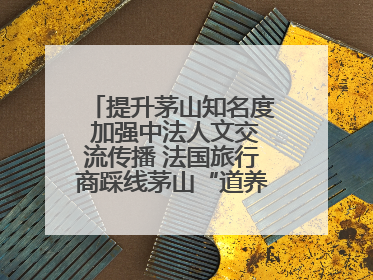 提升茅山知名度 加强中法人文交流传播 法国旅行商踩线茅山“道养文化产品”