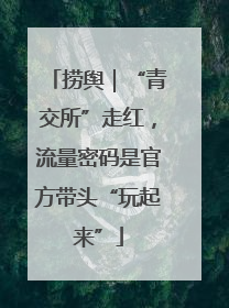 捞舆｜“青交所”走红，流量密码是官方带头“玩起来”